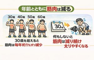 年齢と共に筋肉は減る